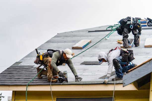 Professional Roofing technician working in Leon, IA